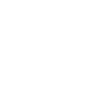 Huginn bird emblem